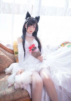 全职高手动漫免费观看_BD高清完整版